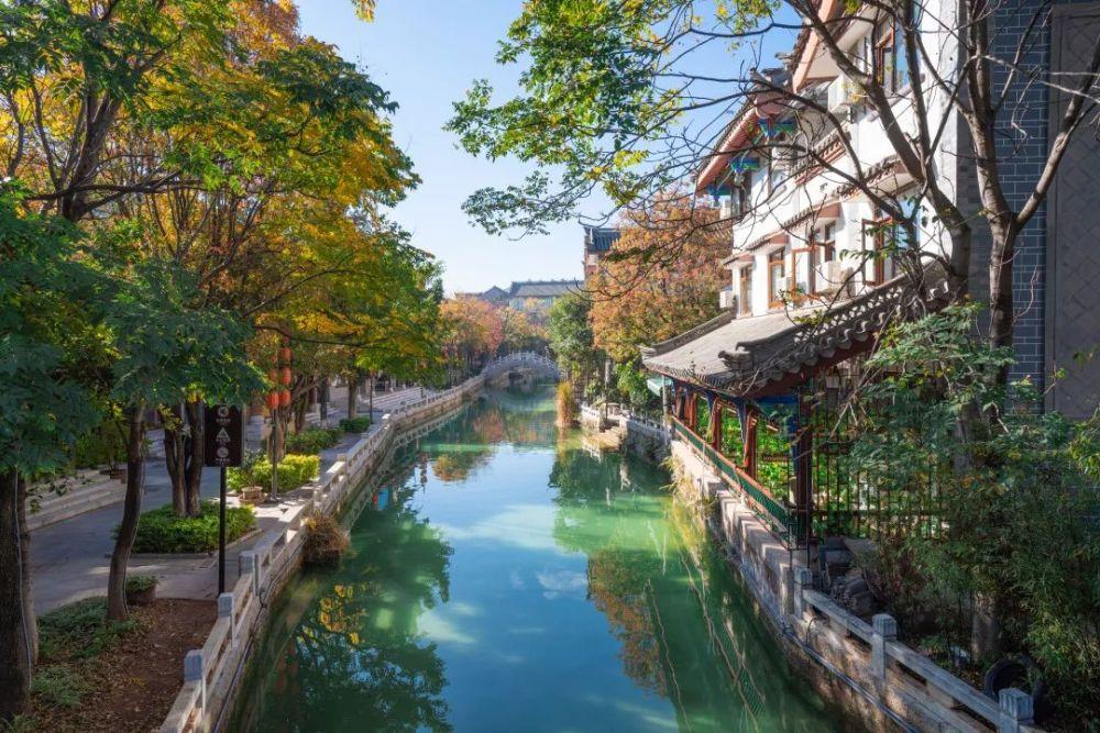 胰腺假性囊肿的危害,你知道哪些呢?-专业问答交流平台